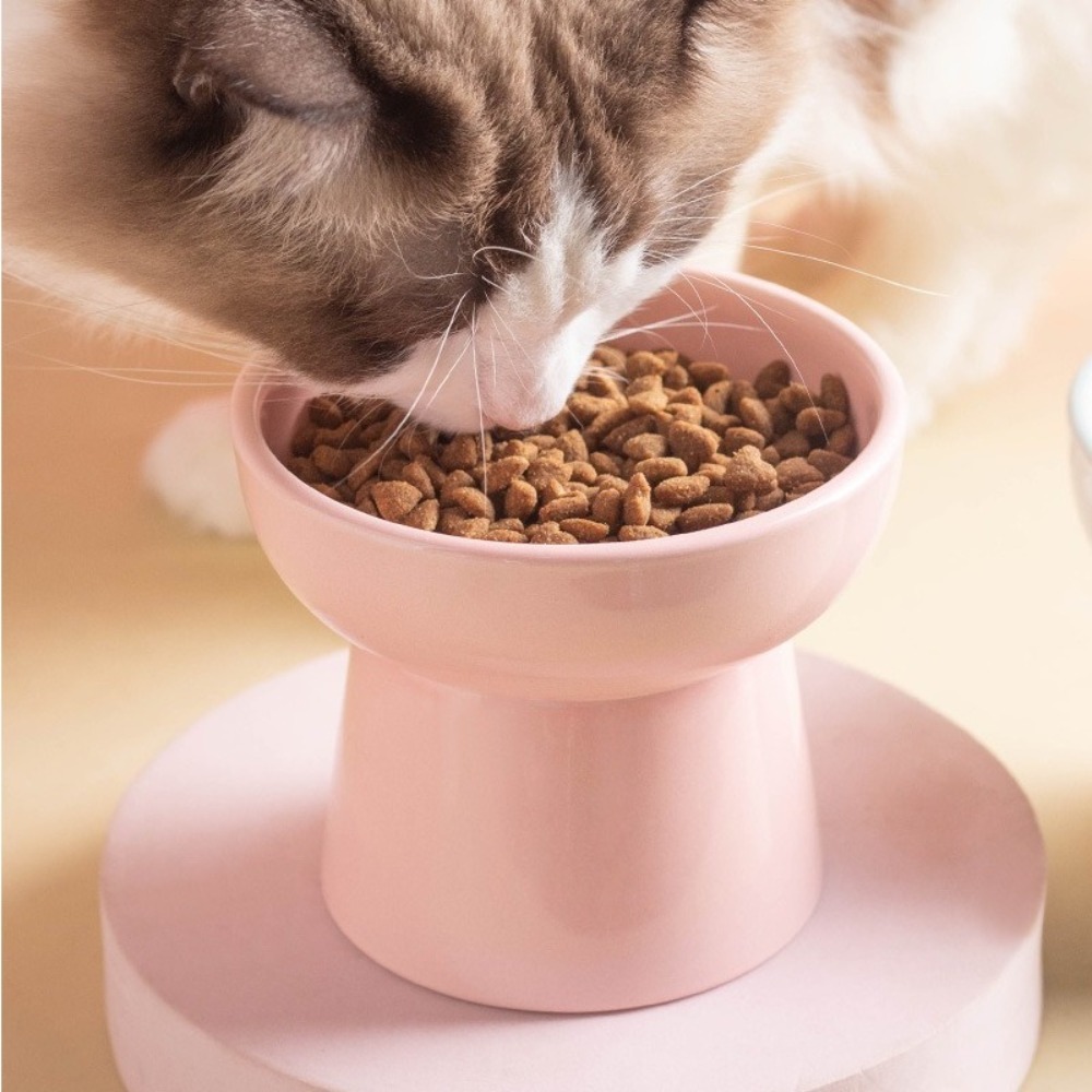 High Foot Cat Elevated Bowl 300ml Raised Dog Food Water Feeders Ceramic Neck Protection Pet Feeding Dishes Small Dogs