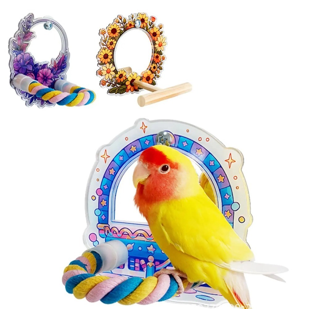 Wood Bird Perch Mirror Toy Hanging Fun Birdcage Mirror Toy Removable Colorful Cage Vanity Toy For Finch Canary Cockatiels