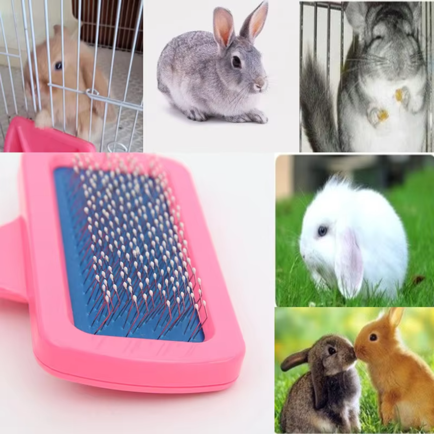 Rabbit Brush Pet Grooming Comb Dutch Pig Dogs Combs Dry Cleaning Brushes Guinea Pig Peines Pets Grooming Needle Comb Rabbits