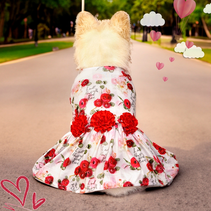 Elegant Floral Rose Print Dog Dress, White Background with Red and Pink Roses, Chic Fashion Spring Summer Puppy Skirt Pet Outfit