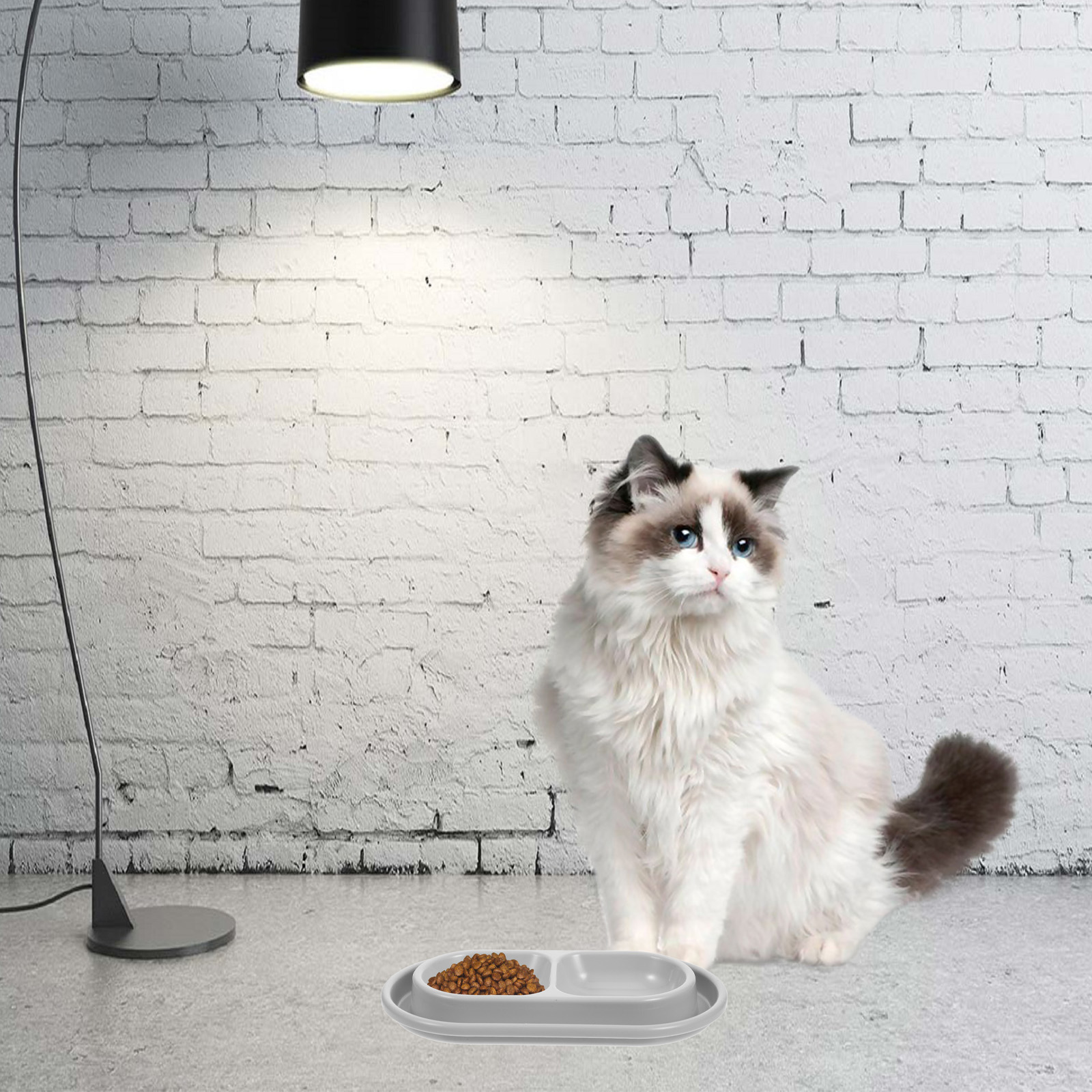 Anti-Ant Bowl for Pets Puppy Bowls Cat Dish Blue Dog Water No Spill Food Proof Outdoor Feeder