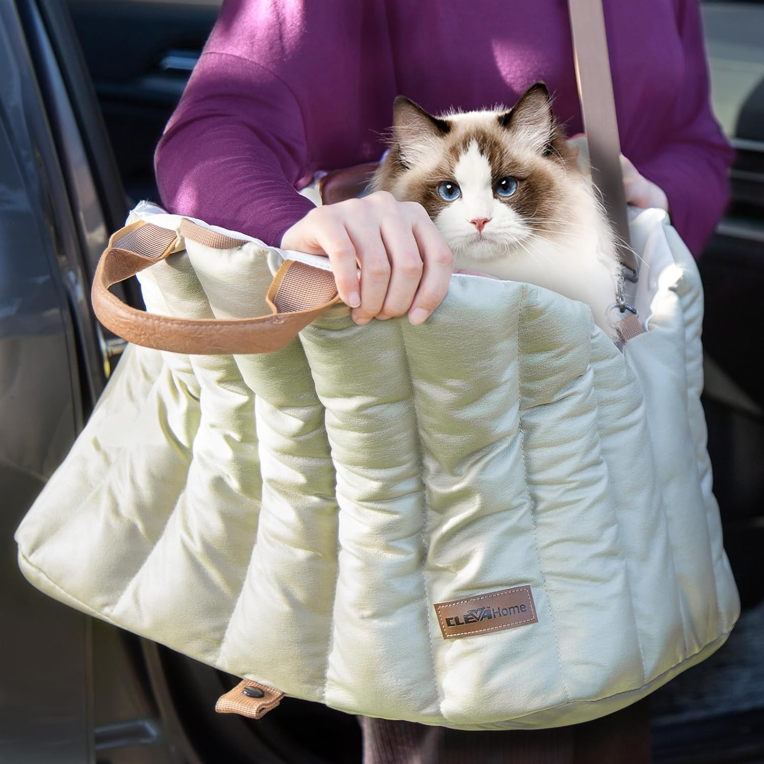 Dog Car Seat Bag Puppy Booster Seat for Car Front Seat Portable Winter Dog Carrier Cat Transport Pet Travel Accessories