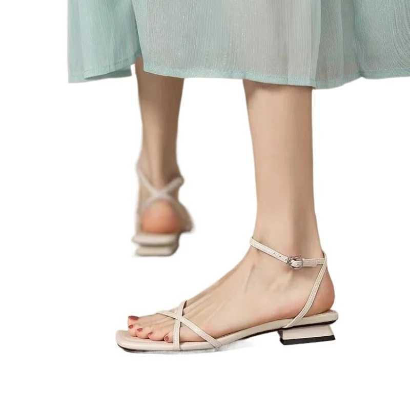Designer Summer Gladiator Wan Sandals Open Toe Narrow Band Low Heel Ladies Outdoor Beach Vai Sandals Y250306
