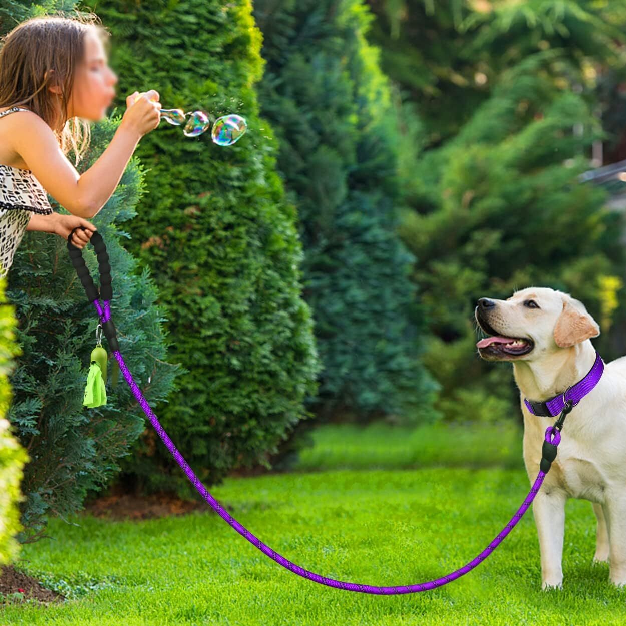 Premium Reflective Nylon Dog Collar & Leash Set with Neoprene Padding - 6ft Lead, Waste Bag Dispenser (S/M & Medium Sizes) Dog kit Dog shick collar
