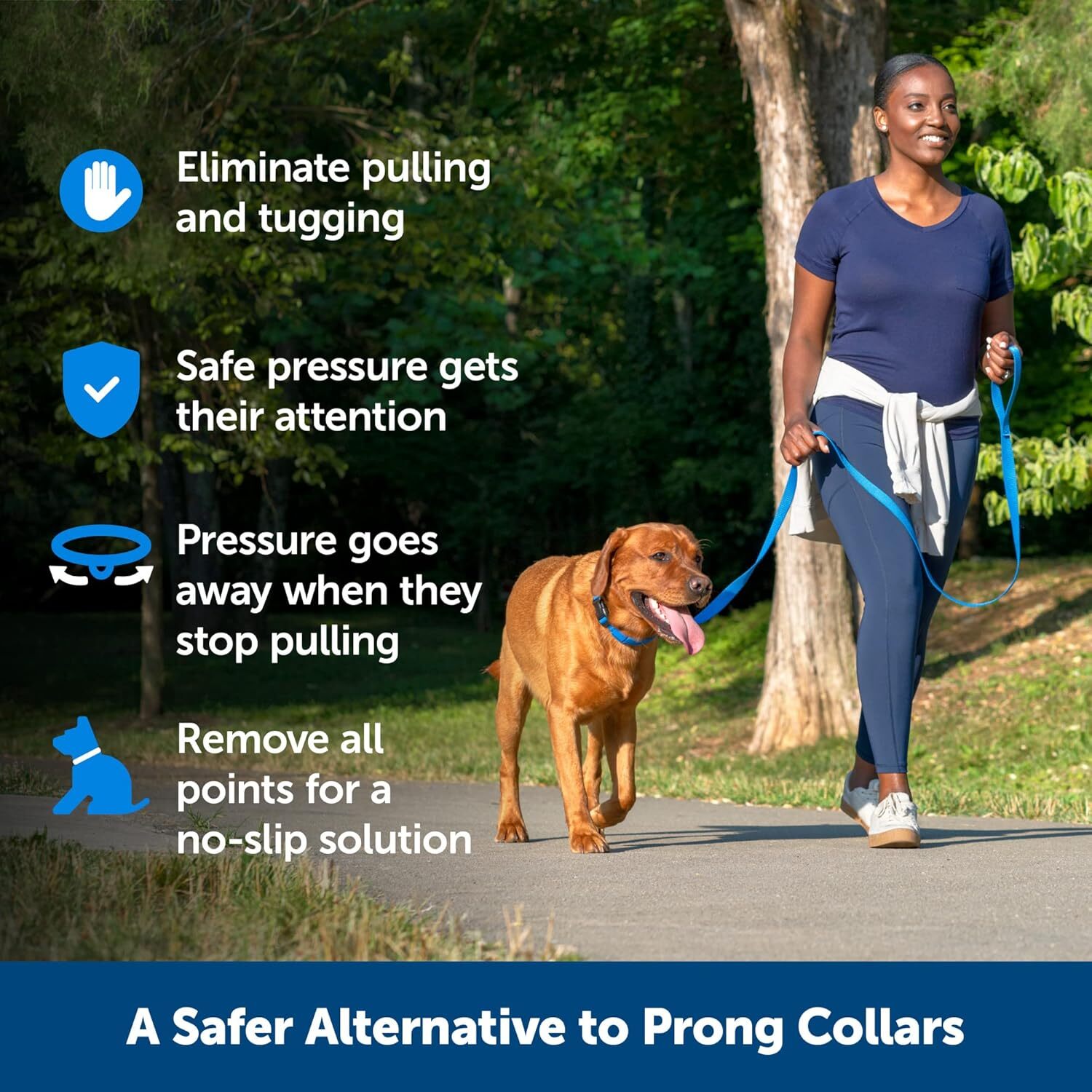 PetSafe Soft Point Training Collar Helps Stop Pulling Safer than Claw or Suffocation Collar Teach Better Belt Etiquette - Non Pulling Dog kit Dog shic