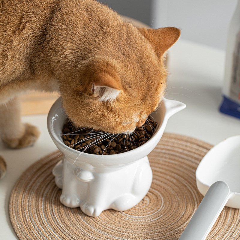 Cat Food Bowl, 150ML Ceramic Elevated Kitten Water Bowl, 15° Tilted Raised Pet Feeder, Anti Vomiting and Whisker Friendly Dishes for Fat Faced, Cat, K