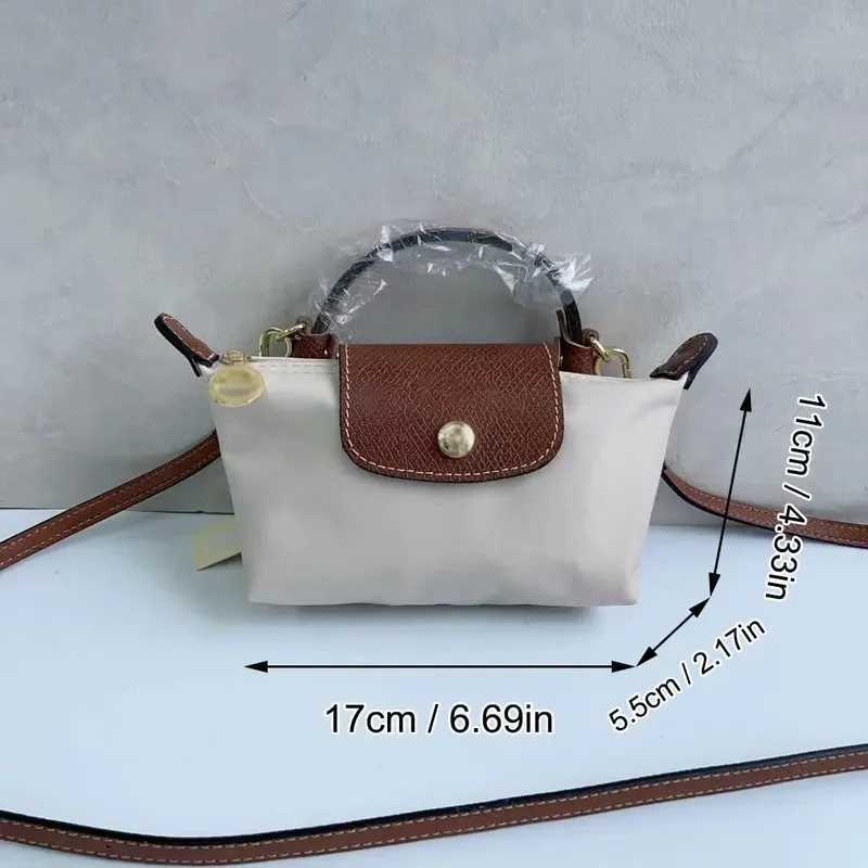 Mini Versatile Handbag For Women Niche Creator Initiated Handbags Luxury Handbags Gifts For Girls Fashion Pro Y250306