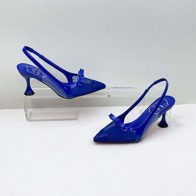 New pointed, slim heel shoes with sexy mesh dotted toe closure sandals, feminine and high-heeled sandals