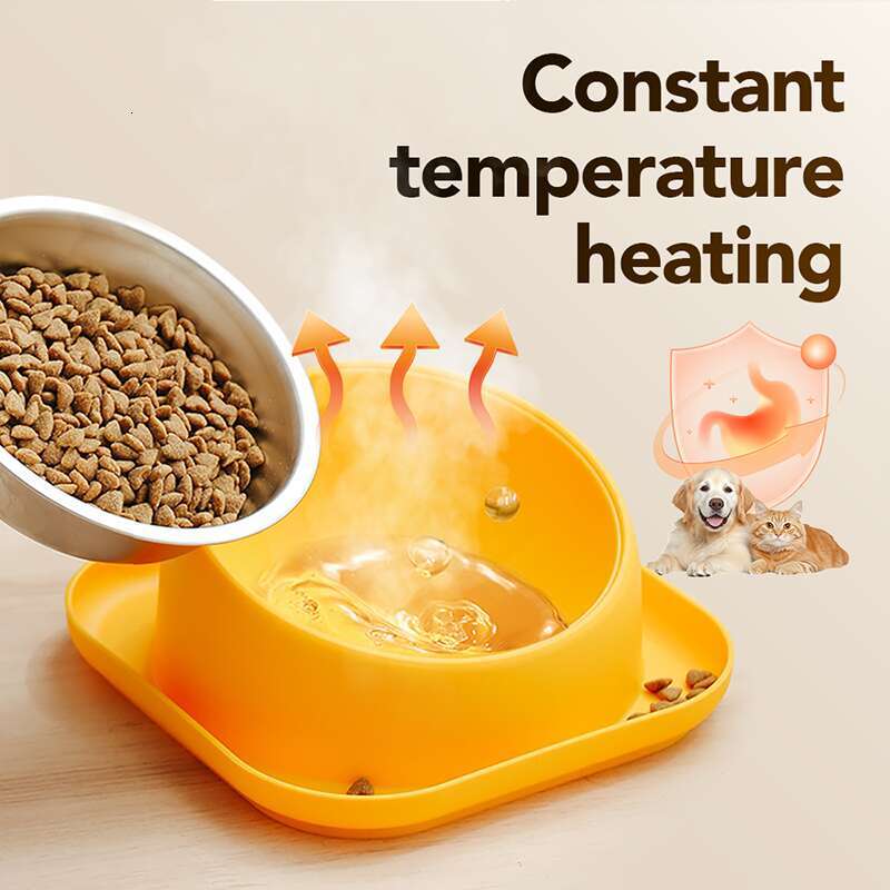 DHpet Tilted Angle Dog Bowl 15° Slanted Stainless Steel Dog Cat Food Bowl Water Bowl Non-Spill Safeguard Neck for Dogs Cats & Pets