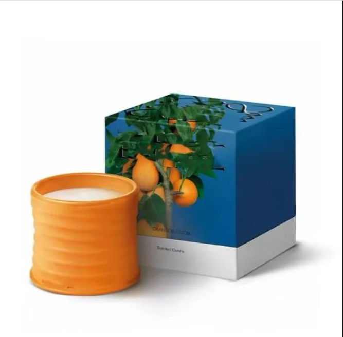 Spain Scented Candles Pottery Jar Best seller Top Quty Fragrance Candle ivy Aromatherapy Gift Box Home Decoration Festivals Gift R250420