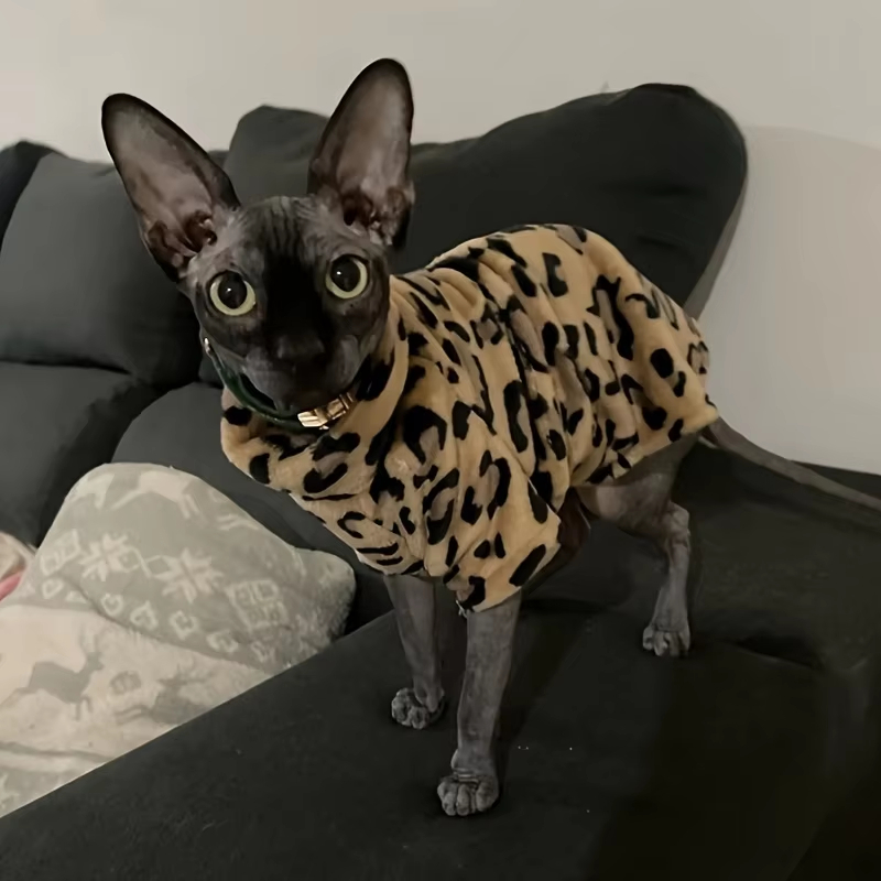 Sphynx Cat Clothes Winter Velvet Warm Soft 2- Layers Winter Jacket Thickened Hairless Cat Coat for Sphynx, Cornish Rex, Devon Rex, Peterbald Cat Cloth