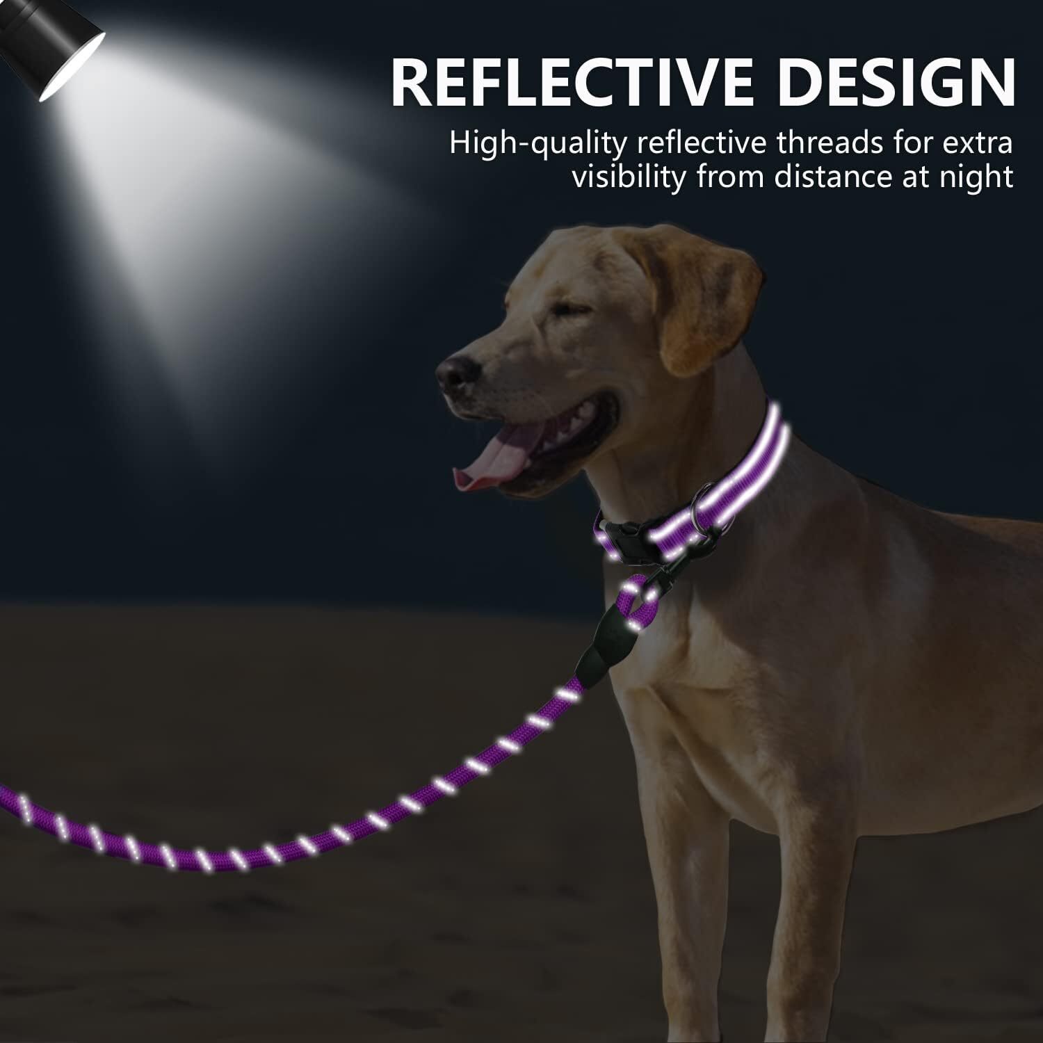 Premium Reflective Nylon Dog Collar & Leash Set with Neoprene Padding - 6ft Lead, Waste Bag Dispenser (S/M & Medium Sizes) Dog kit Dog shick collar