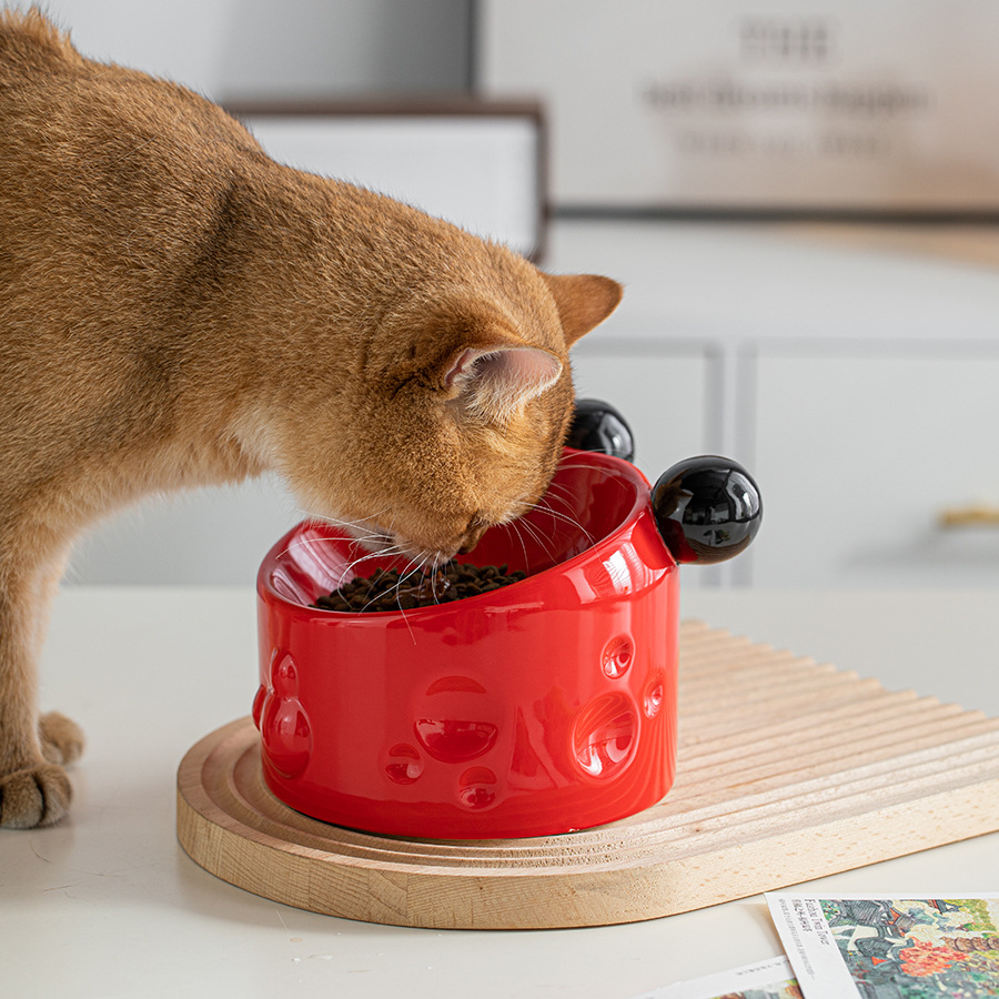 14 CM/5.5 Inch Extra Wide Ceramic Raised Cat Bowls, Porcelain Tilted Elevated Cat Food Water Bowl Dish, Stress Free Pet Feeder Bowls Dishes for Elder 