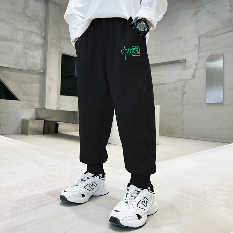 Ddmyshoesvip Autumn Children S Sanitary Spring Clothing Middle Aged Boys Sports And Leisure Pants Trendy