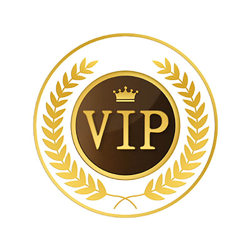 More style bag shoes belt consultation and purchase VIP only payment link V009