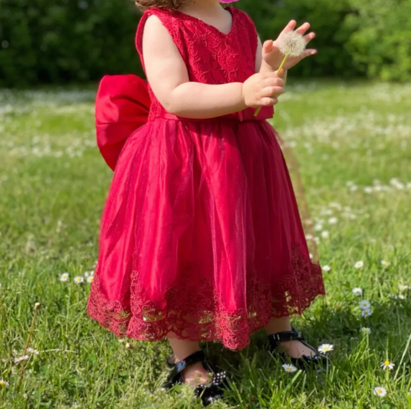 Baby Girl Lace Dresses Infant Flower Wedding Dress Elegant Princess Party Tutu Toddler Kid Birthday Baptism Formal Gala Clothing 250218