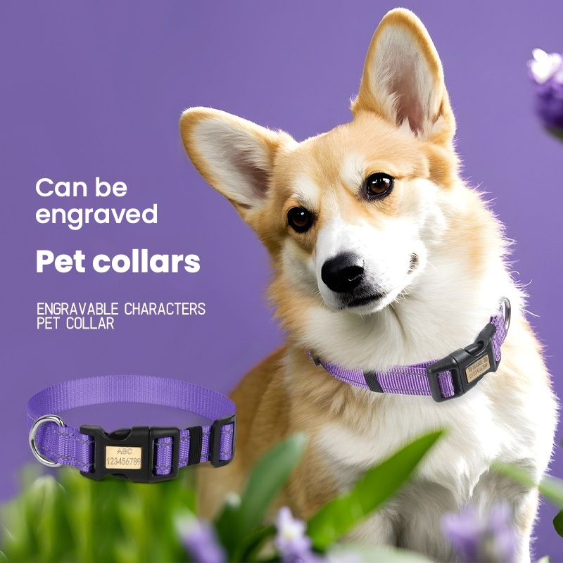 Cat Collar , Reflective Kitten Collar with Apple Air Tag Holder and Bell for Girl Boy Cats, 0.4 Inches in Width and Lightweight