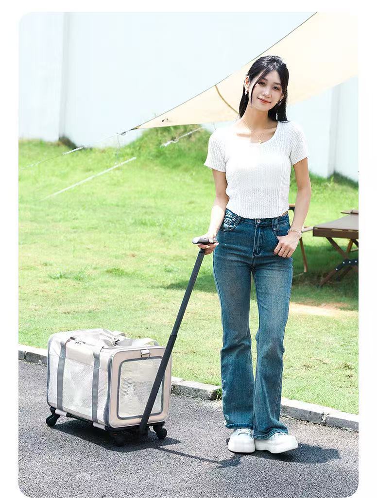New cat bag Large capacity hatchback portable pet bag can be folded breathable portable pet trolley case