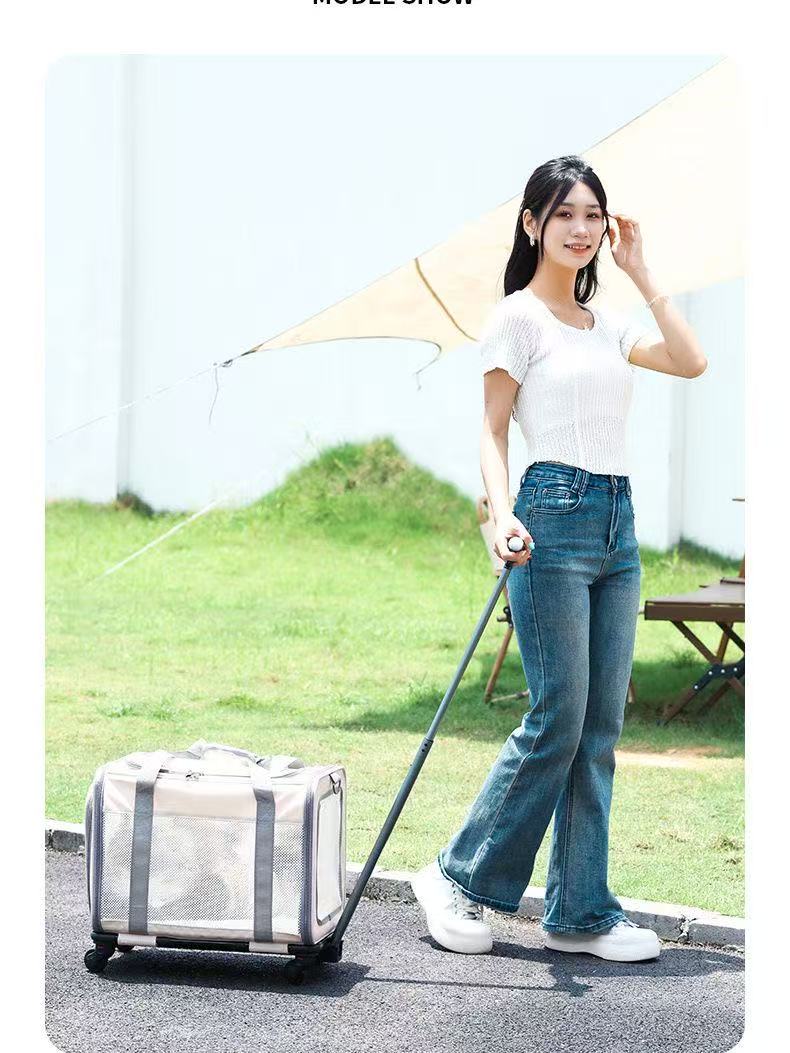 New cat bag Large capacity hatchback portable pet bag can be folded breathable portable pet trolley case
