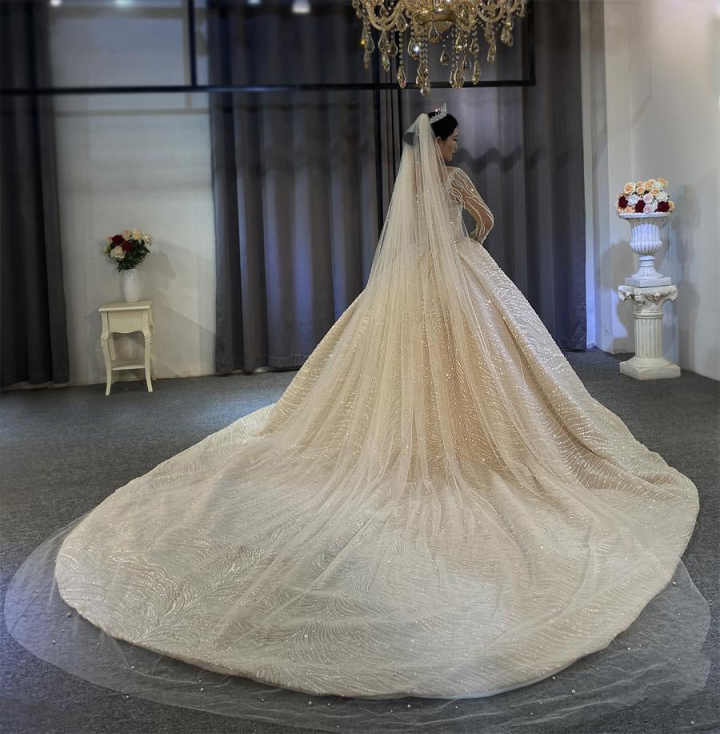 Vintage A e Women Wedding Sheer Neck Long Sleeves Bridal Gowns Sequins Pearls Sweep Train Dress Custom Made