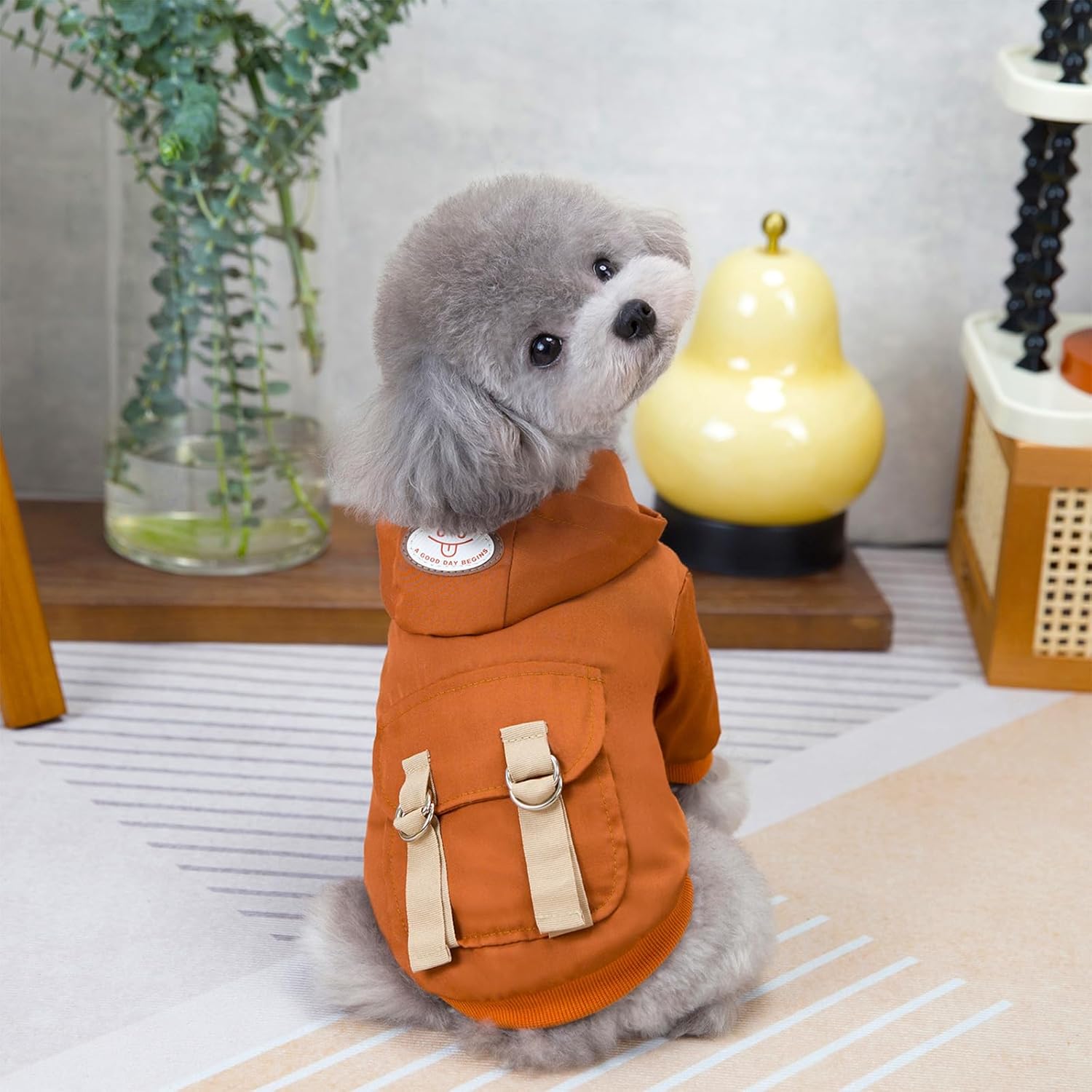Thicken Comfortable Jackets Fashion Pet Outerwear Dog Windproof Clothes for Dogs and Cats