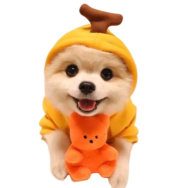 Update Fruit Transform Cat Small Medium-Sized Dog Autumn And Winter Hoodie Fleece Clothes Pet Supplies Teddy Method Wholesale Factory Home New Clothin - view 9