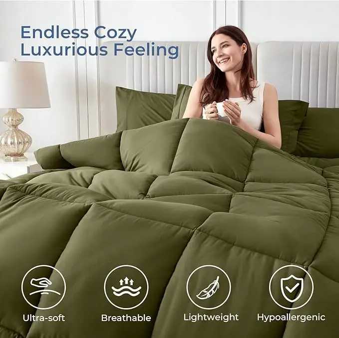 7 Pieces Bed in a Bag Queen Complete Bedding Set Includes Comforter Flat Sheet Fitted Sheet cases and Shams Ol W250310