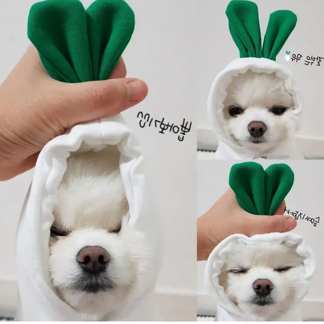 Update Fruit Transform Cat Small Medium-Sized Dog Autumn And Winter Hoodie Fleece Clothes Pet Supplies Teddy Method Wholesale Factory Home New Clothin - view 8