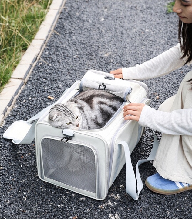 Large Cat Carrier Expandable Pet Carrier for Small Dogs Medium Cats Fit Up to 13 Lbs, Foldable Puppy Carrier for Travel