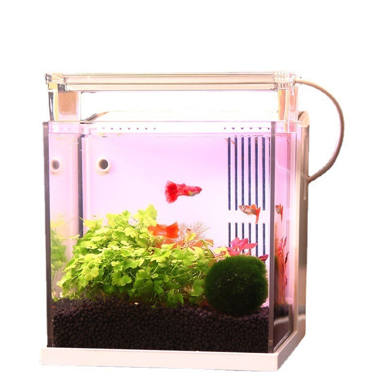 Qianrui New Product BZ-145C Office and Home Desktop Backfilter Freshwater Seawater Version Mini Small Fish Tank 250115