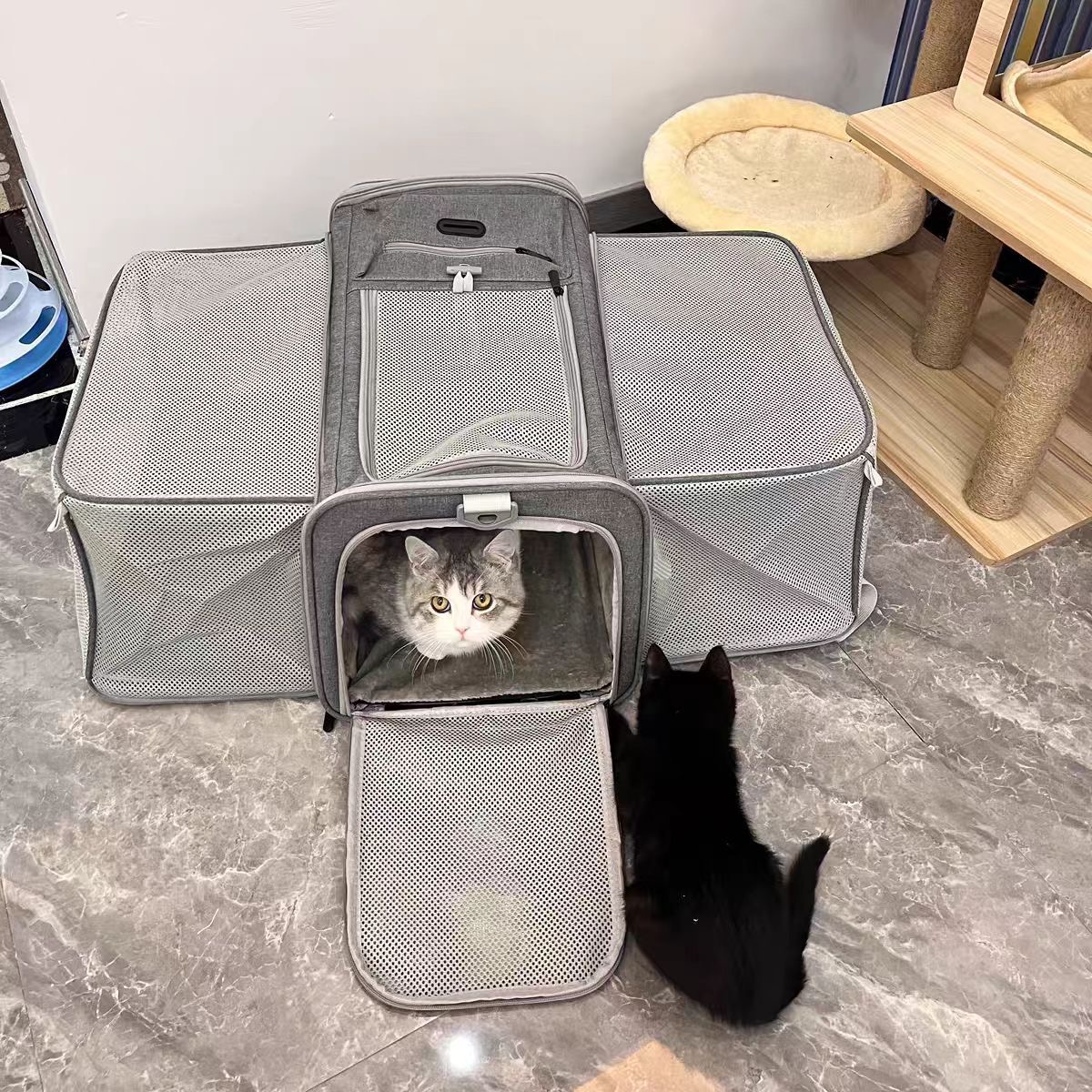 Large Cat Carrier Expandable Pet Carrier for Small Dogs Medium Cats Fit Up to 13 Lbs, Foldable Puppy Carrier for Travel
