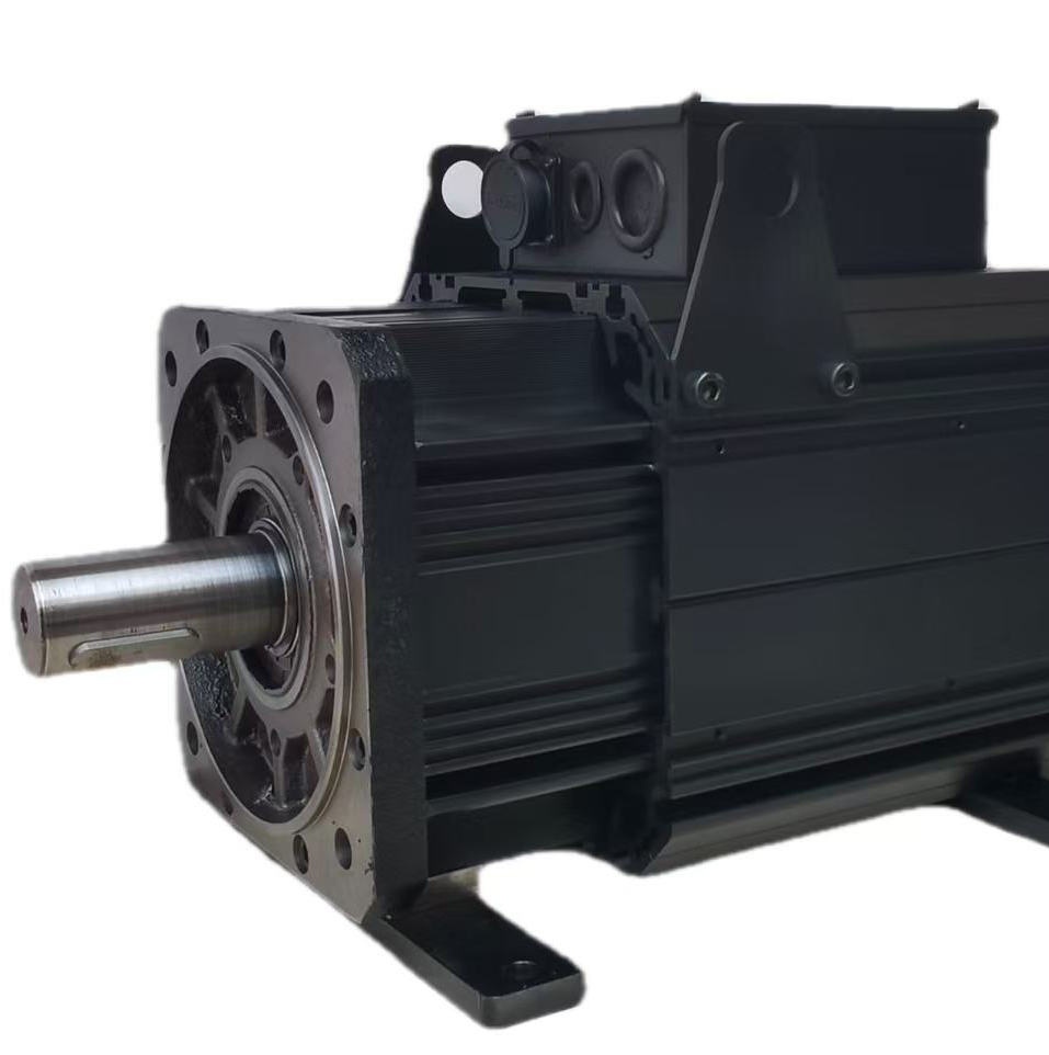 High-Performance Servo Motor with Durable Construction