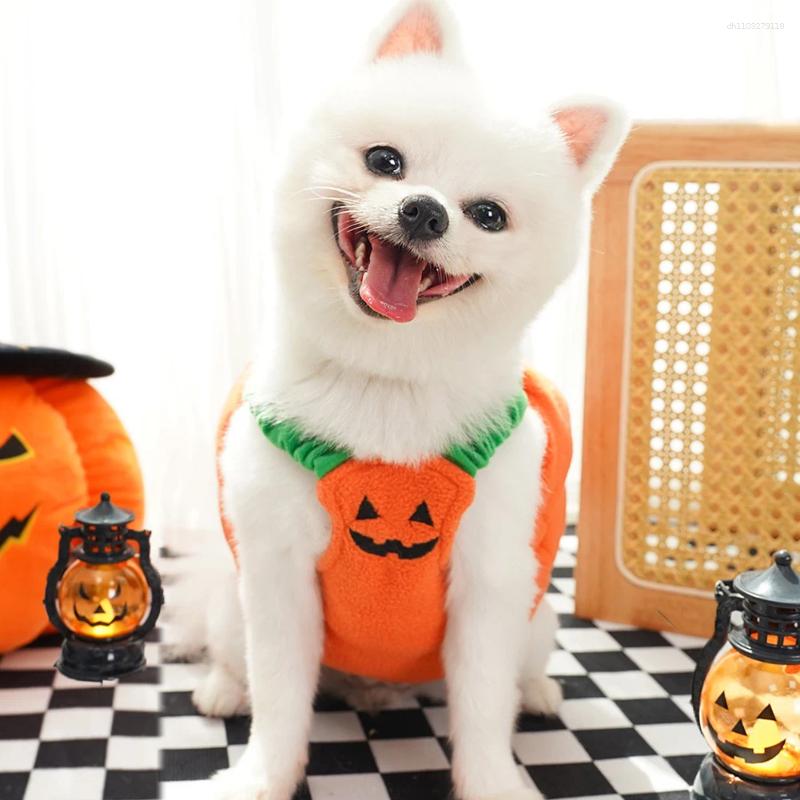 Halloween Dog Costumes Funny Pumpkin Lantern Transformation Outfit Cat Two Legged Pet Cute Cloth Jacket