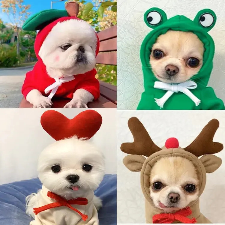 Update Fruit Transform Cat Small Medium-Sized Dog Autumn And Winter Hoodie Fleece Clothes Pet Supplies Teddy Method Wholesale Factory Home New Clothin - view 3