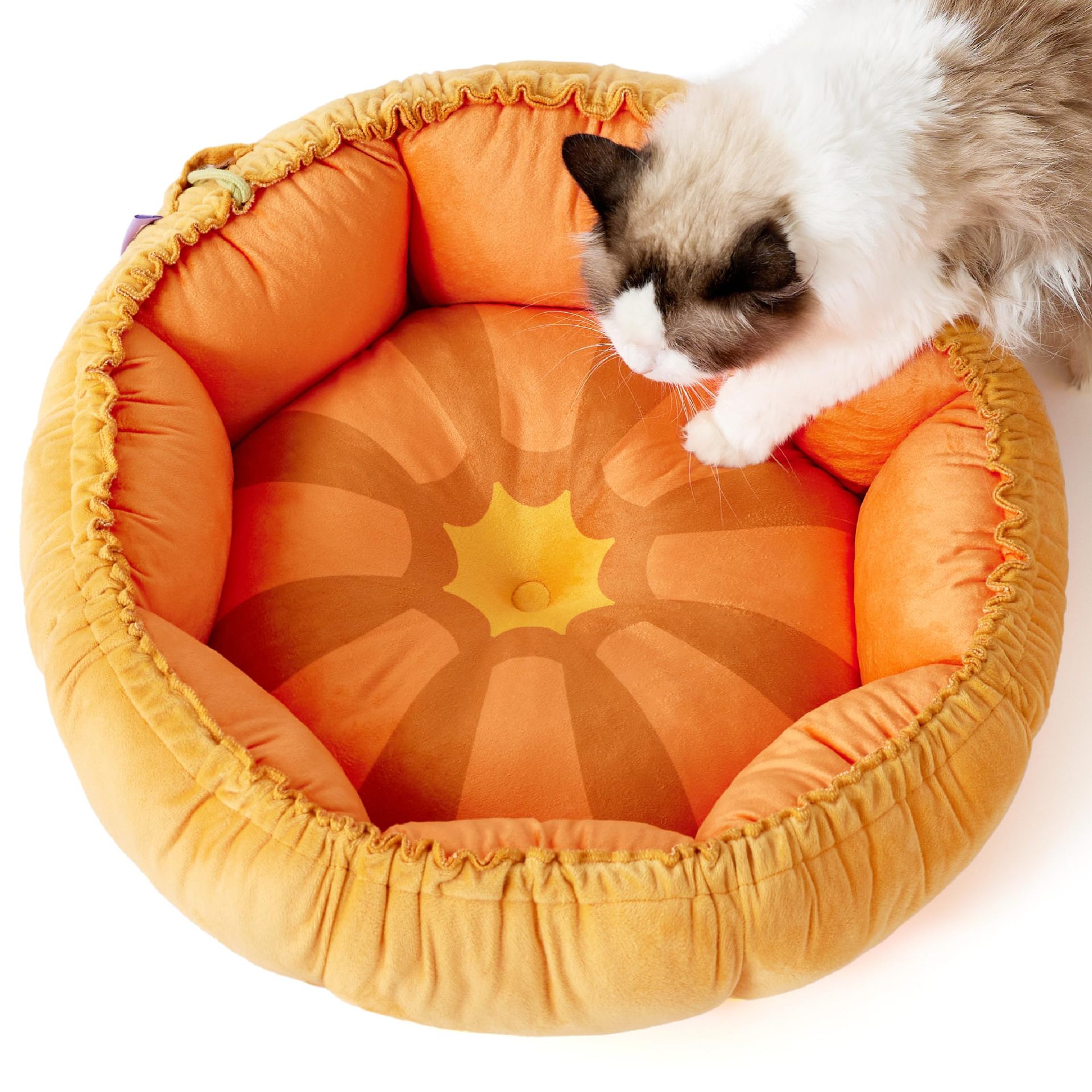 Cat Nest Winter Warm Mat Cat Bed Kitten House Semi Enclosed Dog Nest Four Seasons General Pet Supplies Dog Kennels