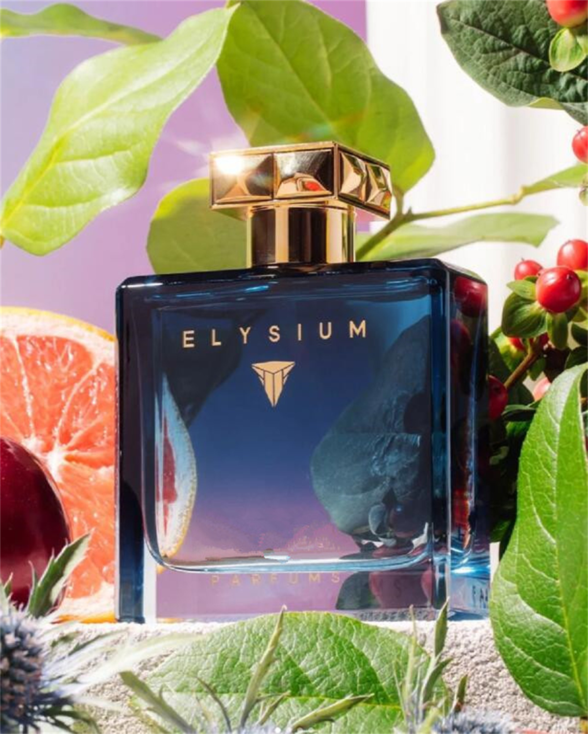 RJ Perfume 100ml Elysium DIAGHILEV Parfums Long Lasting Smell Fragrance Turandot Oceania Cologne Elixir Spray Fast Ship