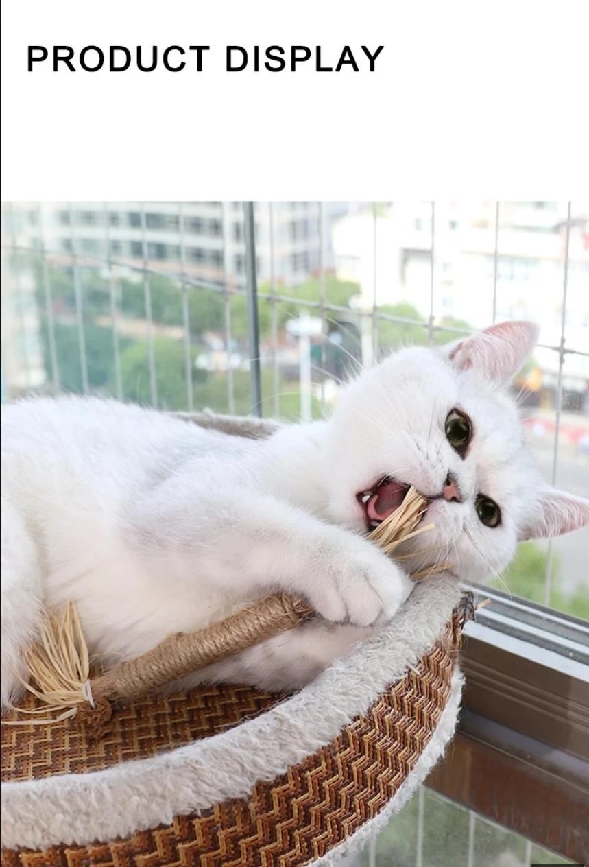 Cat-Friendly Teeth Cleaning Teethers - Organic Silvervine and Raffia Grass Toys