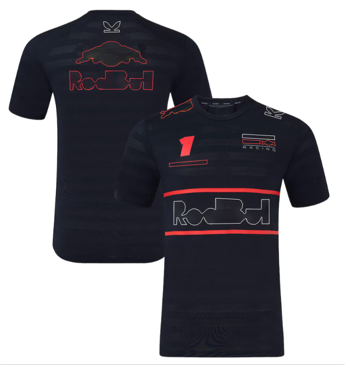 2025new Formula One racing polo suit Spring and Autumn team hoodie customization