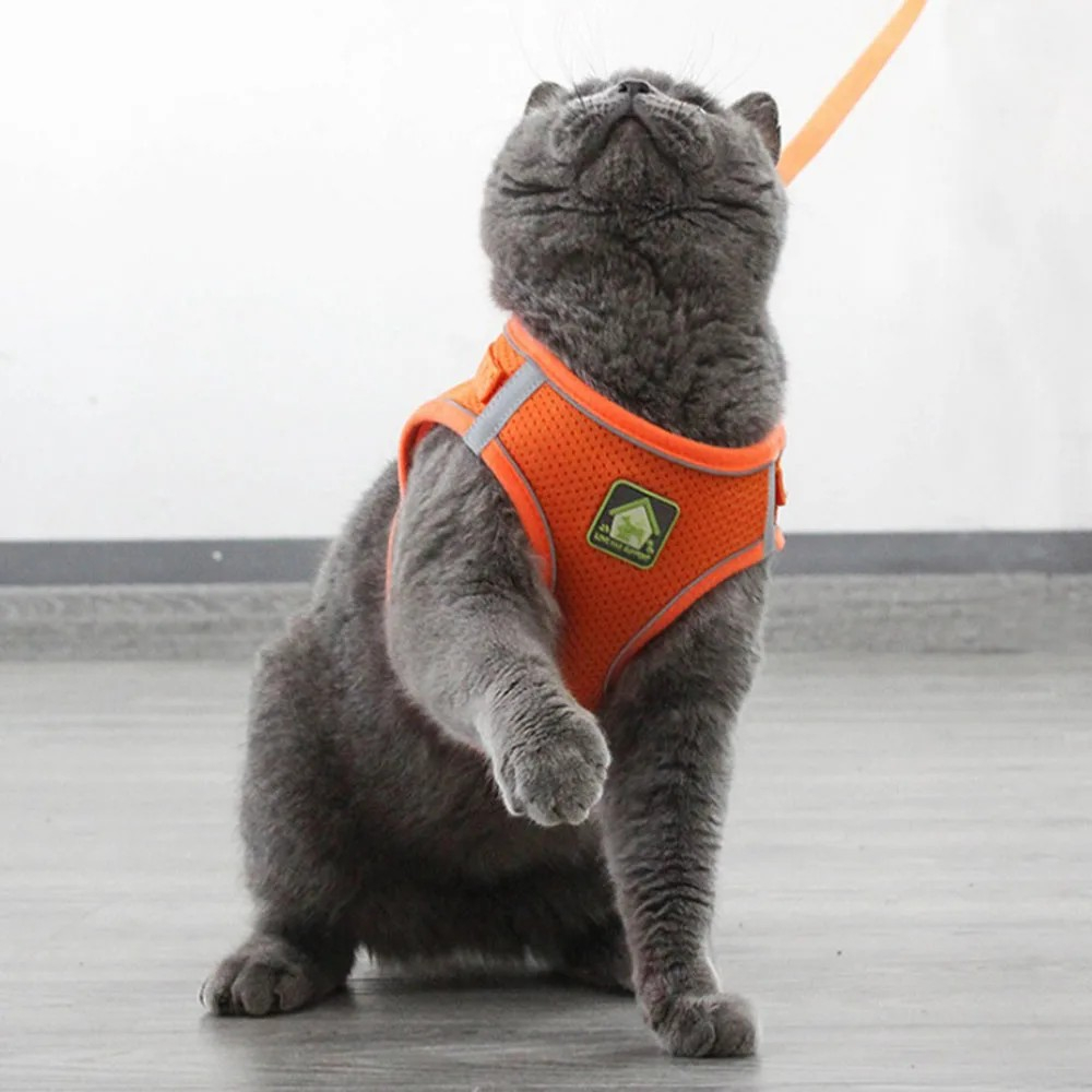 Cat and dog chest strap, reflective anti slip, easy to put on and take off, with traction rope, suitable for small and medium-sized pets