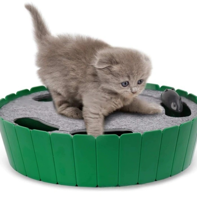 Pawaboo 4 Holes Whack-a-mole Electric Cat Toy,Interactive Cat Toy with Running Mouse, Pop and Play Hide Seek Cat Toy,Pet Supplies,Blue