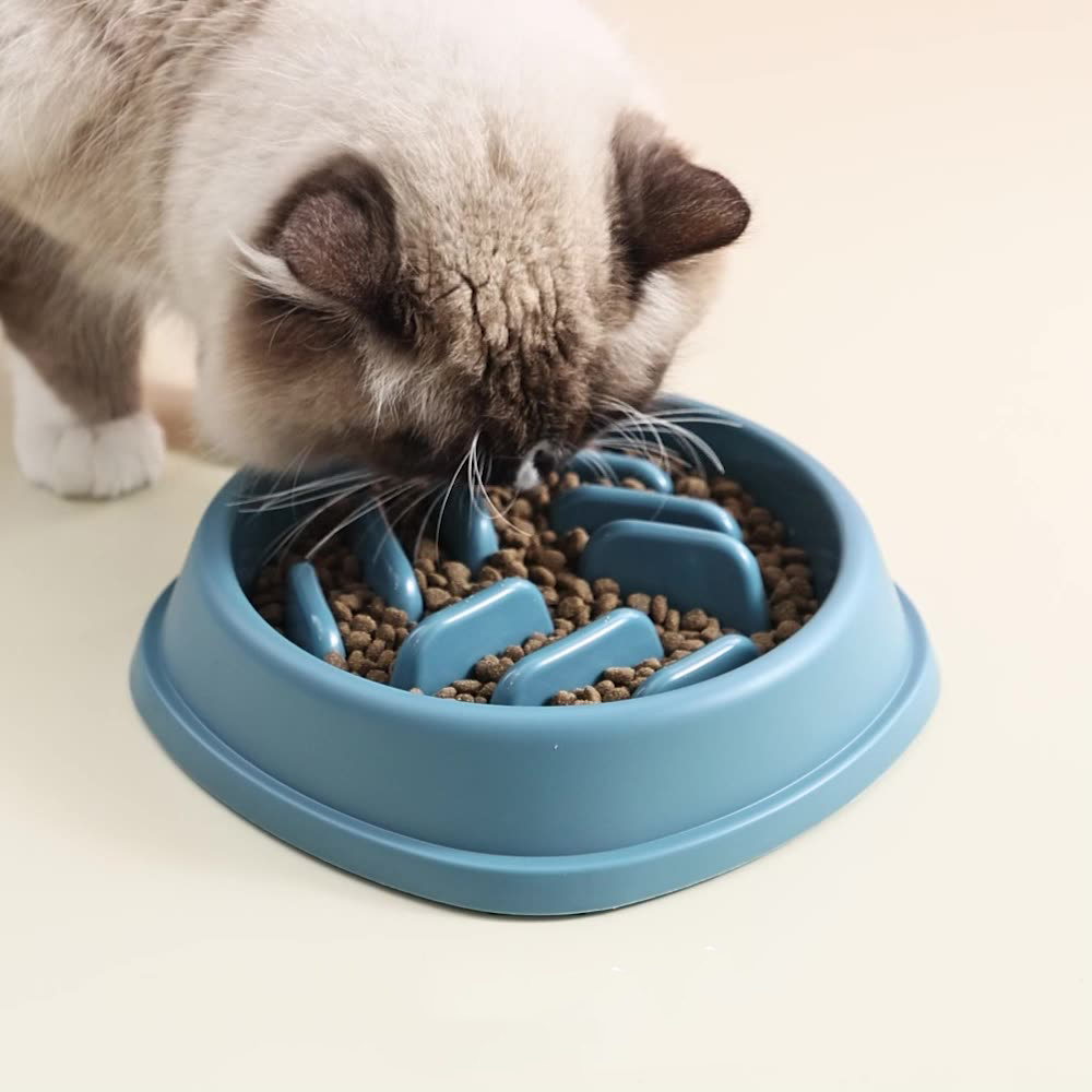 Dog Bowl Large CapacitySlow Feeder Bowl Anti-Choke Slow Feeder Dog Bowl Non-Slip Pet Food Dish Safe and Healthy Eating