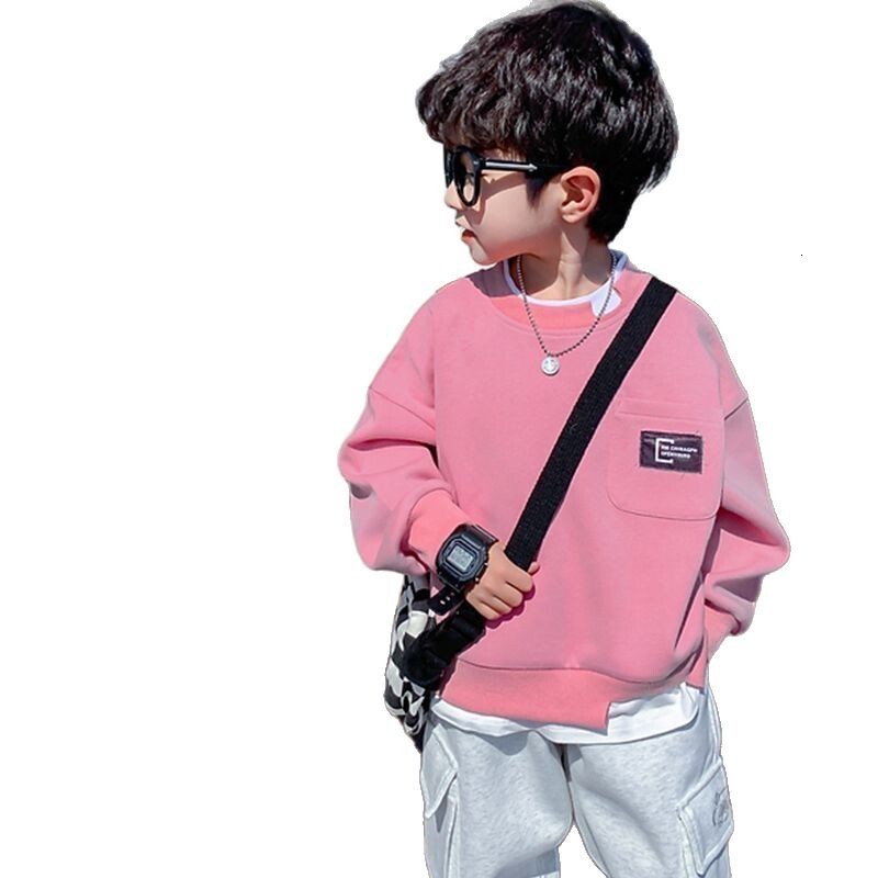 Ddmyshoesvip Boys Hoodie For Spring And Autumn New Style Children S Long Sleeved T Shirt Fake Two Piece Outfit Handsome Korean Fashion Brand Top