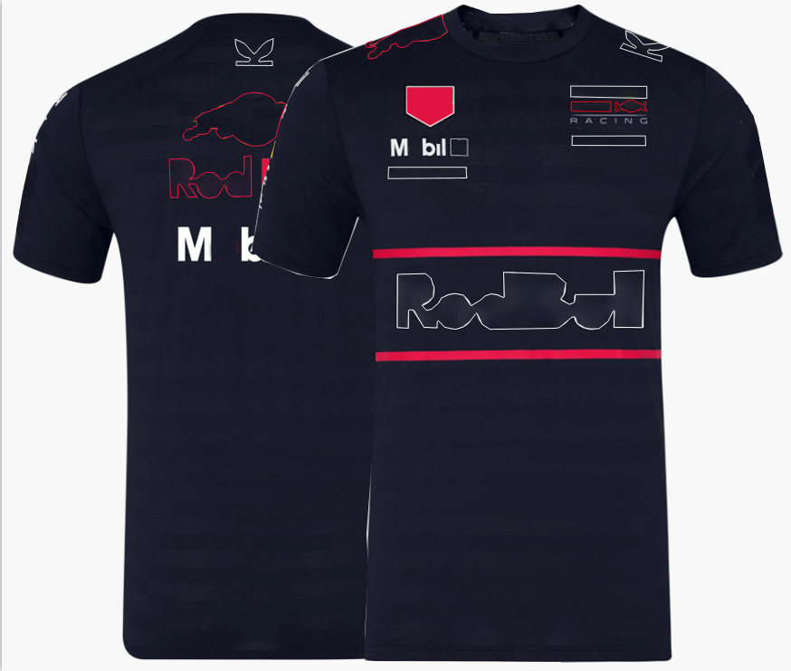 2025new Formula One racing polo suit Spring and Autumn team hoodie customization