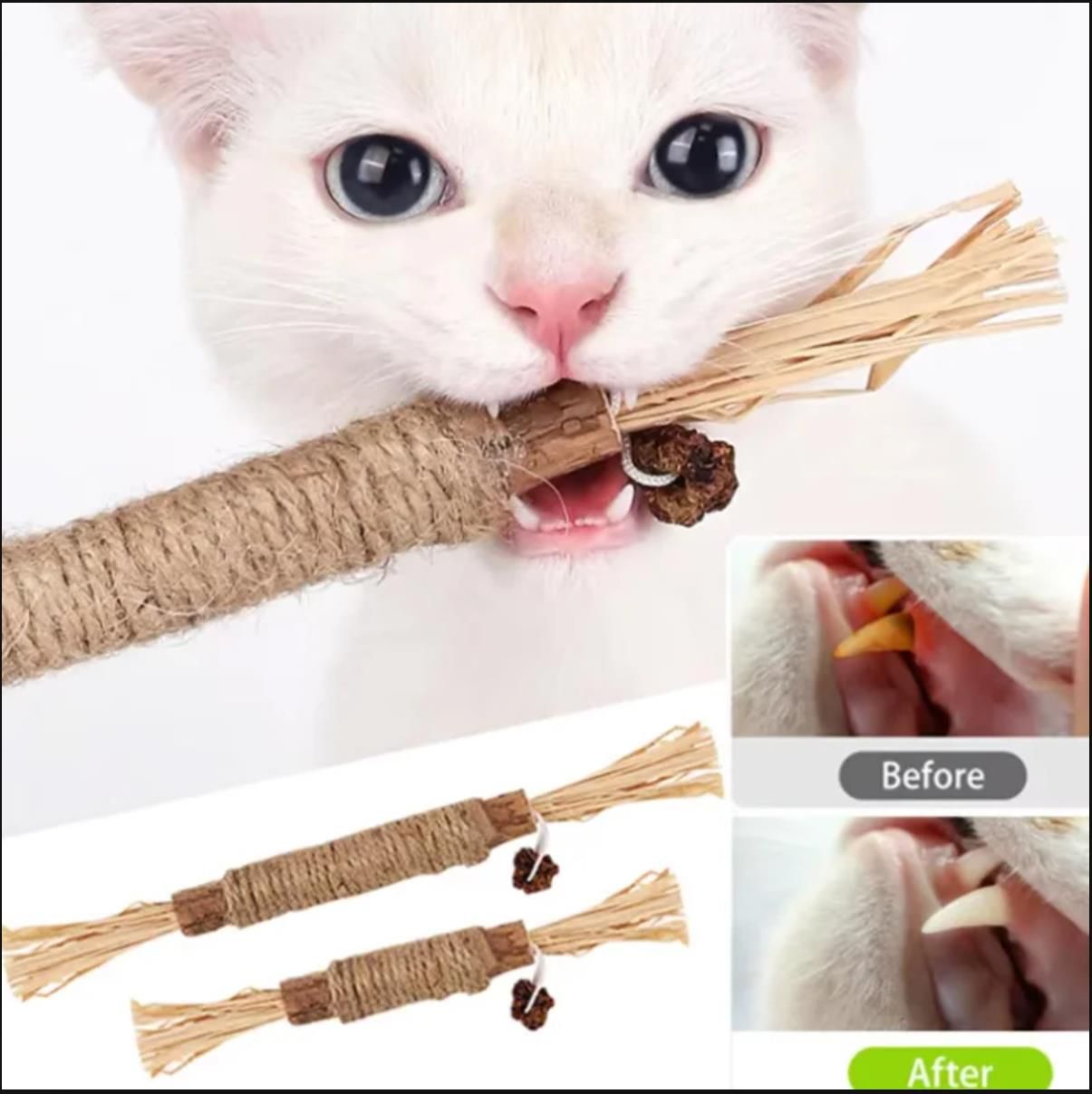 Cat-Friendly Teeth Cleaning Teethers - Organic Silvervine and Raffia Grass Toys