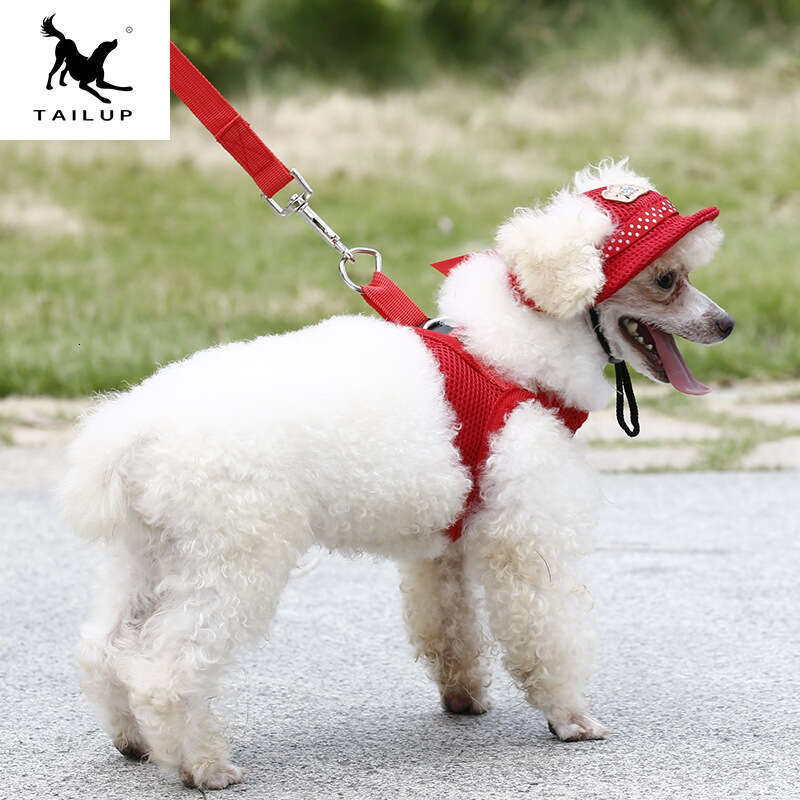 Novelty Sun Breathable Mesh Princess - Style Hats for Cats and Dogs New Pet Supplies