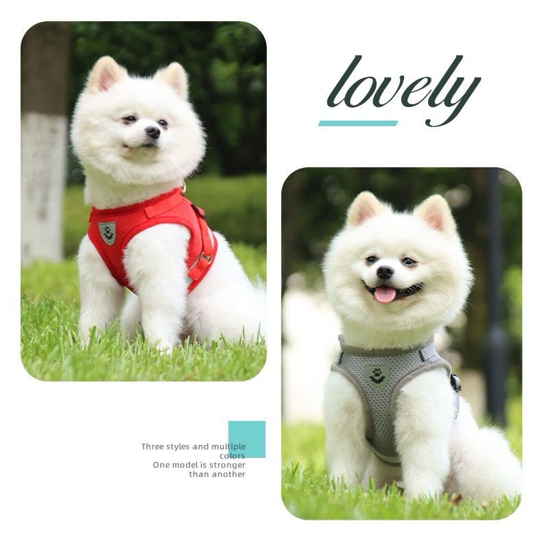 Breathable Pet Harness and Leash Combo Safe and Durable Reflective Vest for Dogs and Cats of All Sizes