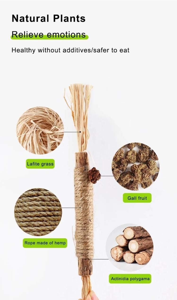 Cat-Friendly Teeth Cleaning Teethers - Organic Silvervine and Raffia Grass Toys