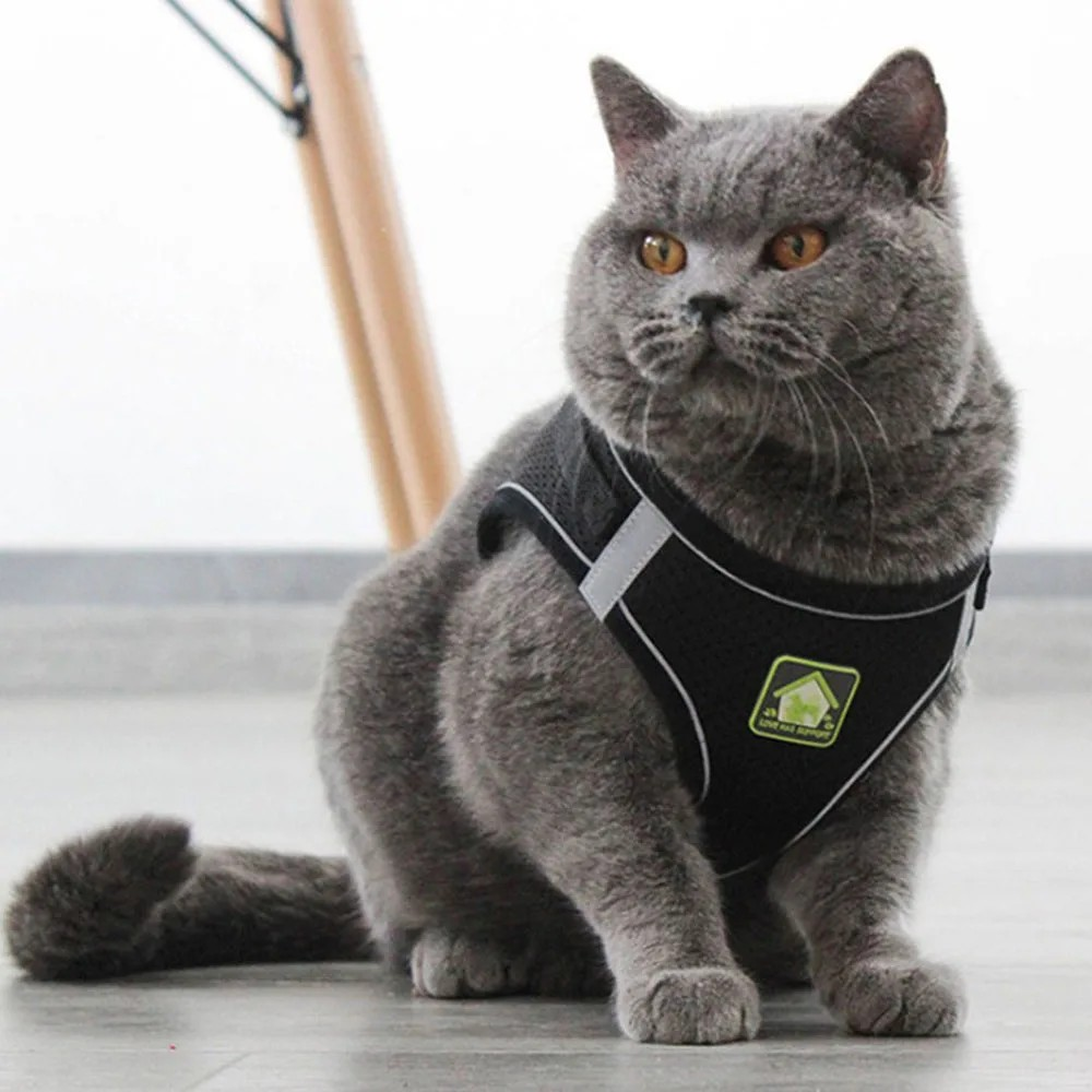 Cat and dog chest strap, reflective anti slip, easy to put on and take off, with traction rope, suitable for small and medium-sized pets