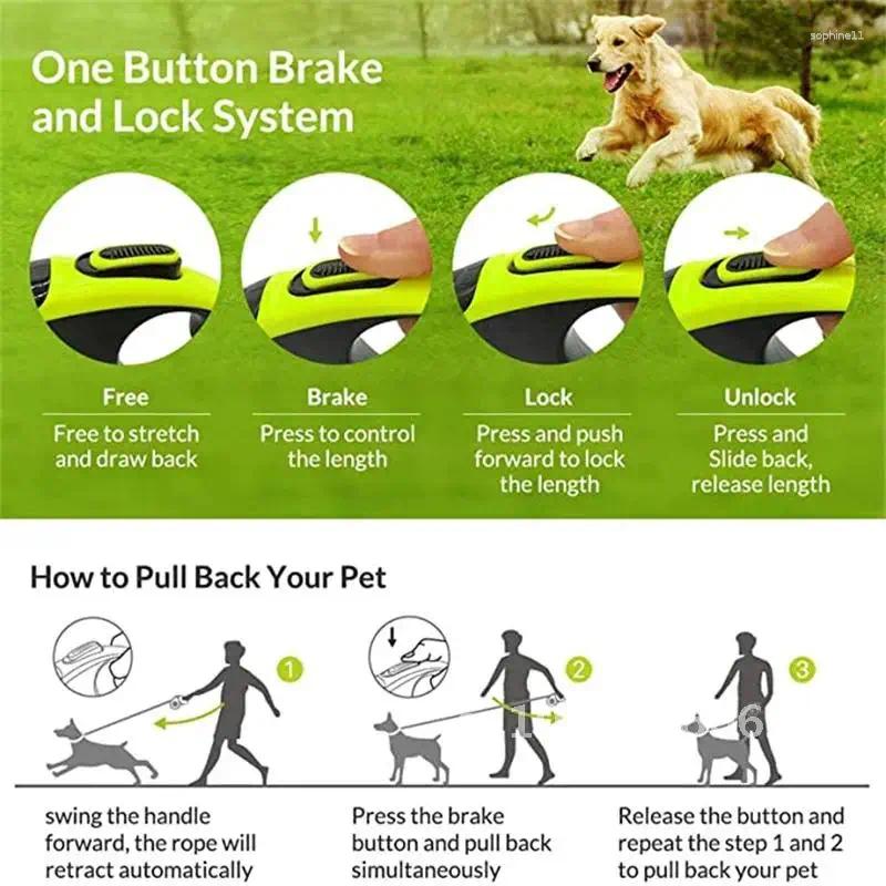 Update Pet Dog Leashes Extension Leash For Lanyard Large Accessories Medium Dogs Automatic Small Cat Retractable Puppies