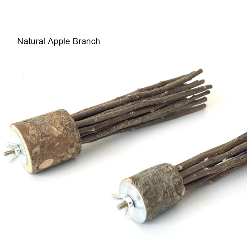 Pet Hamster Toy Natural Apple Tree Branch Teeth Grinding Playing Standing Cage Toy Rabbit Chinchilla Small Animal Supplies New